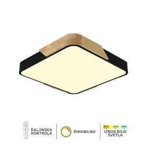 Plafonska lampa F2812-20C BK+WD
