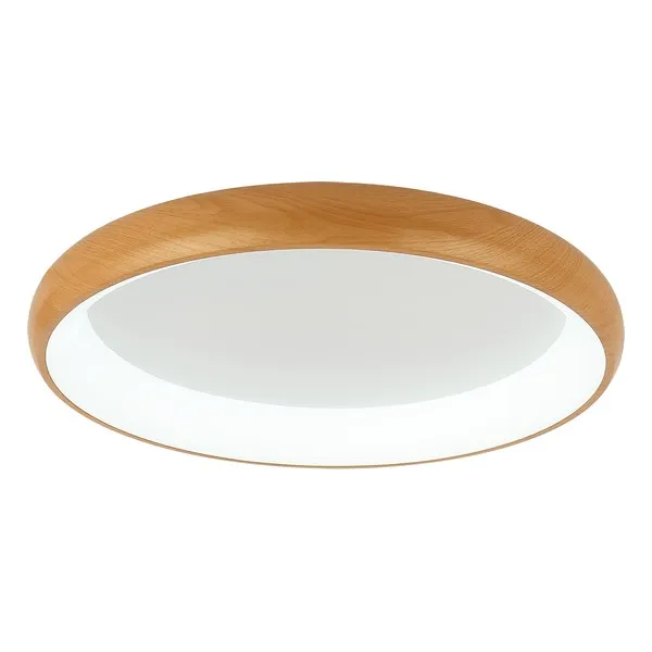 LED plafonska lampa F2081-86C WD - Slika 3