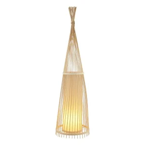 Podna lampa F7855-1FL NT